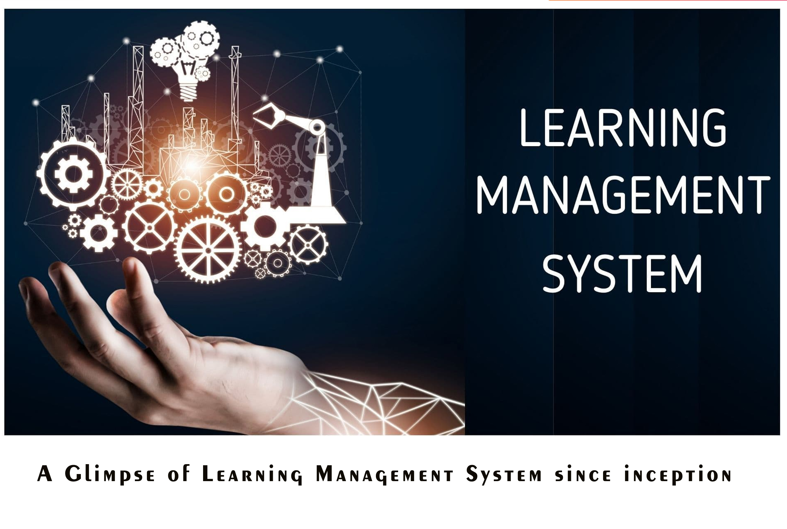 A Glimpse of Learning Management System since inception