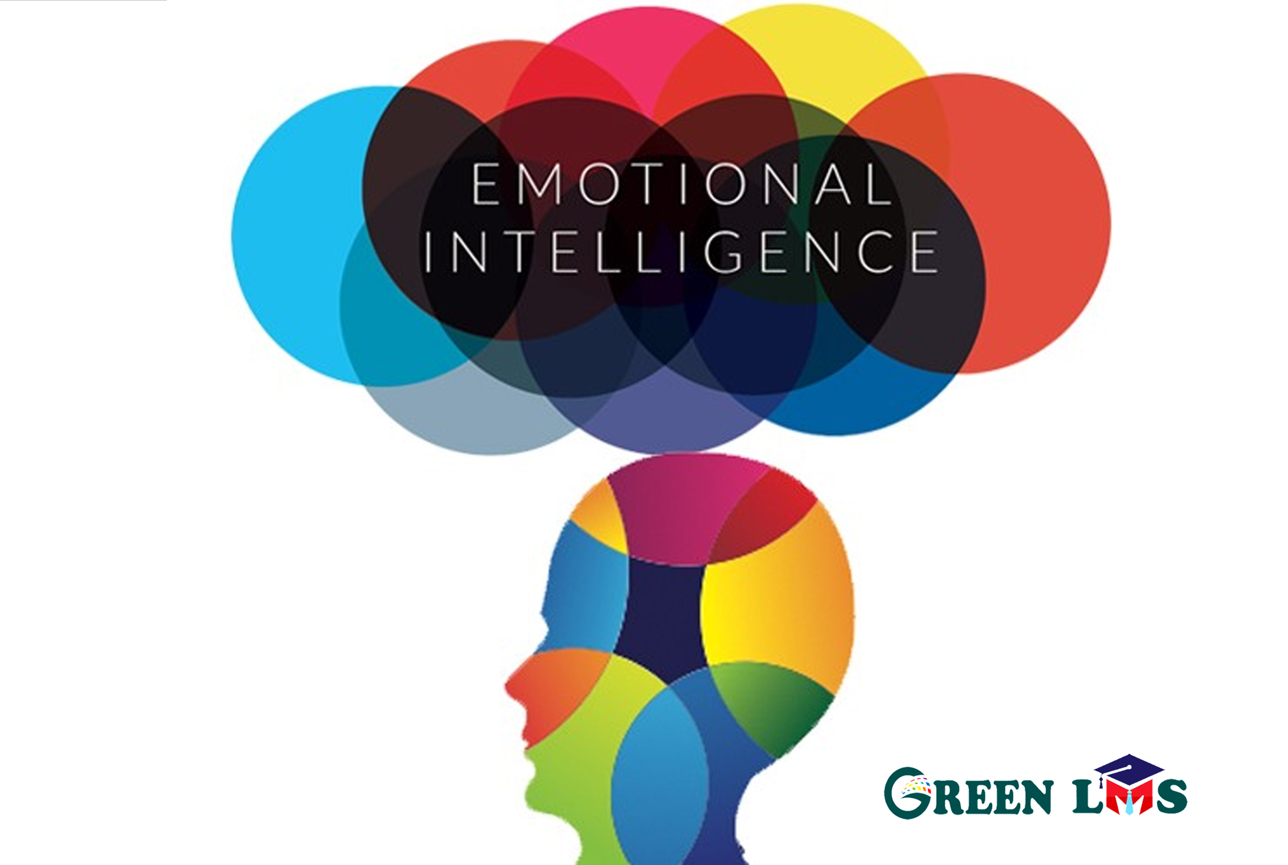 Enhancing Emotional Intelligence in Schools: A Comprehensive Guide