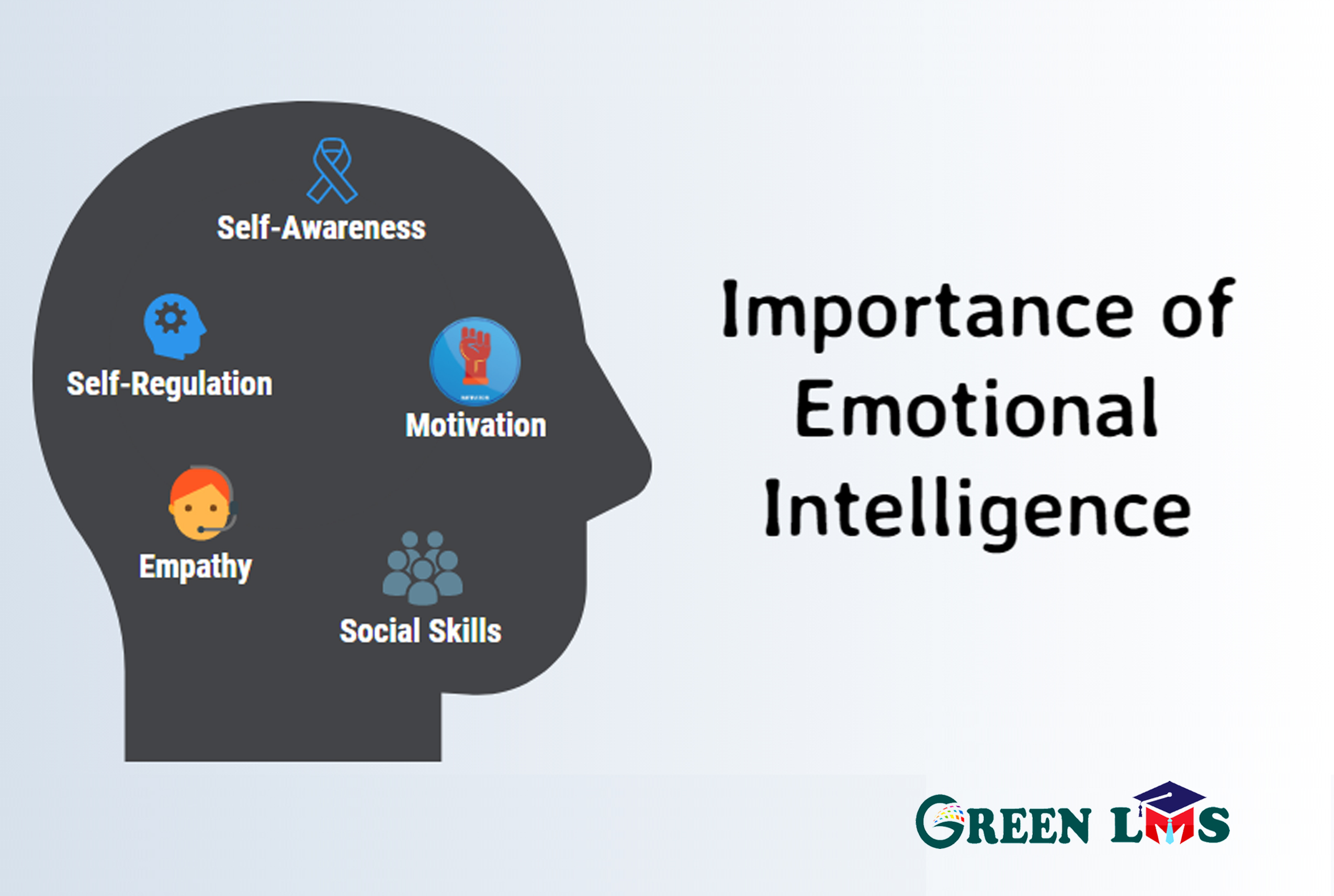 Why is Emotional Intelligence Important for Schools