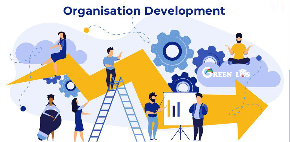 Organizational Development