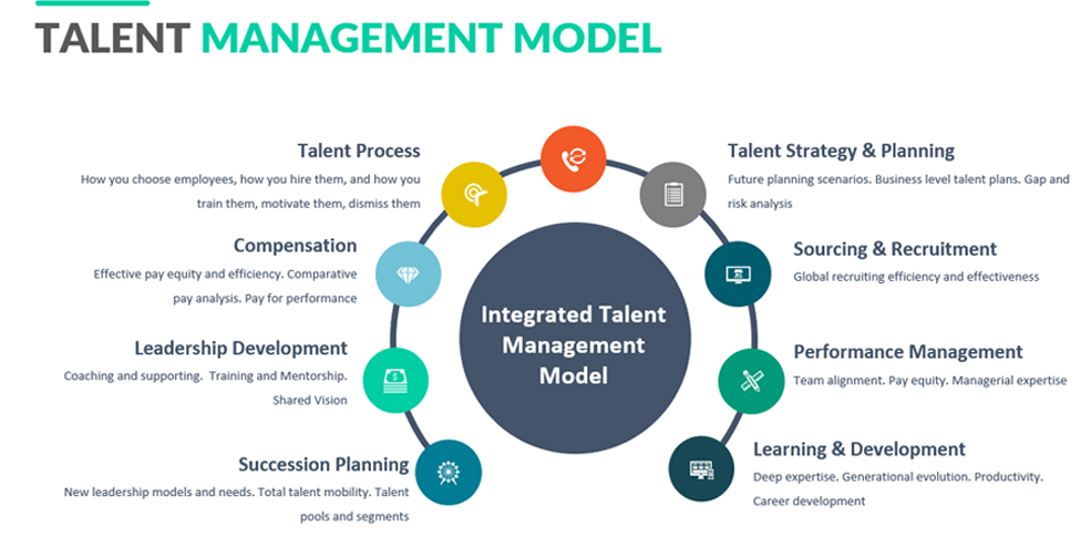 Popular Talent Management Models