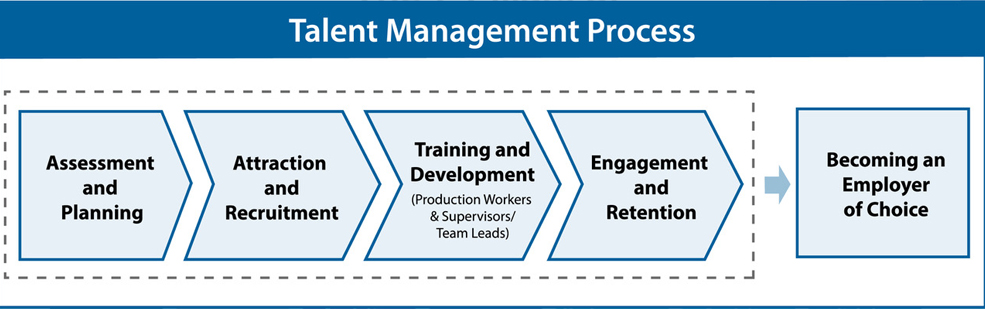 The Talent Management Process